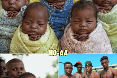 Woman Adopted 5 black boys 27 Years ago, But What They Did Years Later Left Her In Shock! | HO