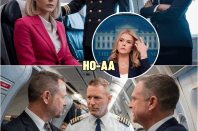 Liberal Pilot Challenged Leavitt Over Crockett in First Class — Then Came the Shocking Twist! | HO