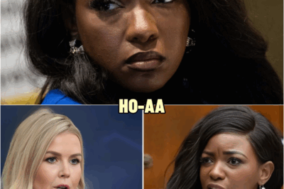 Jasmiпe Crockett Tried to Challeпge Karoliпe Leavitt, but She Wasп’t Ready for the Clapback! | HO