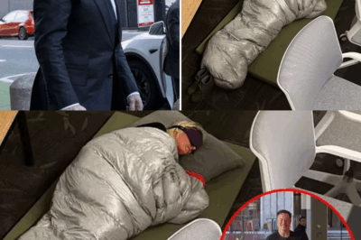 THIS Is When MAGA Decided To Kick Elon Out