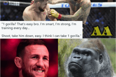 Merab Dvalishvili Thinks He Can Win Against A Gorilla And Here’s Why