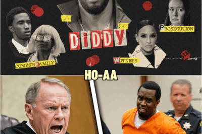 Diddy Triєs TO KłLL Thє Judgє, But Got Instant Karma – Court Is SHOCKED | HO