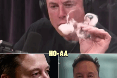 WOW! Elon Musk MELTS DOWN LIVE After RUINING His Own Life! | HO