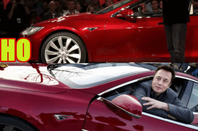 TESLA IS DONE WITH ELON MUSK
