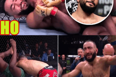 FINAL PREDICTIONS: BELAL vs JDM! WILL ALDO & SHEVCHENKO WIN?