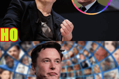 Elon’s “Politics For Dummies” Hits Rock Bottom