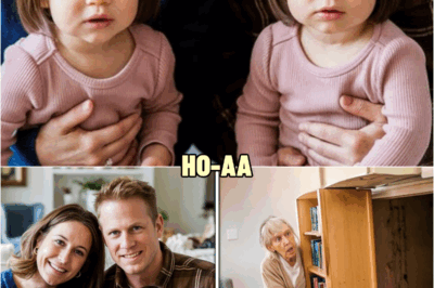 Twin Girls Vanish While in Dad’s Custody, Then Their Grandmother Discovers This… | HO