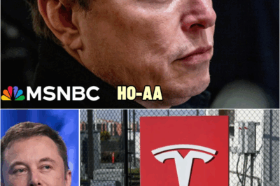 🚨BREAKING : Elon Musk admits Tesla’s imminent collapse and seeks urgent exit: “I’ve run out of options” | HO