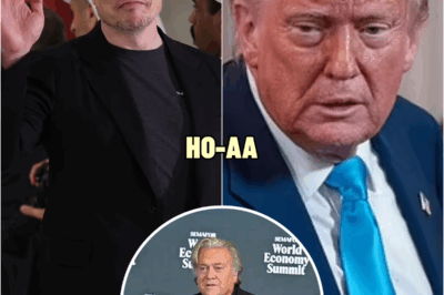 Trump’s original ‘first buddy’ reveals exact moment White House bromance with Elon Musk went up in flames | HO