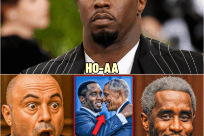 BREAKING NEWS: Joe Rogan’s Courtroom Testimony BLOWS Open Diddy Scandal… | HO