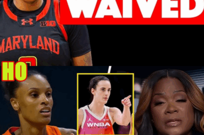 The ENTIRE WNBA Fanbase Is SHOCKED That She Was Waived…