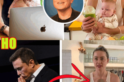 Is Elon Musk the Father of Actress Amber Heard’s Child?