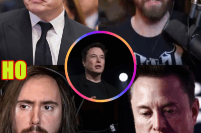 ELON MUSK & ASMONGOLD DRAMA: Twitch Star Clashes with Tech Billionaire
