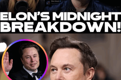 OMG! Elon Musk Goes on INSANE BENDER Online, Has He Completely LOST IT?!