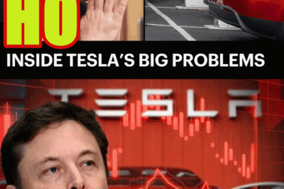 Are Tesla’s Biggest Fans Done With Elon Musk?