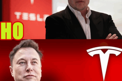 Tesla Denies Report Company Is Looking to Replace CEO Elon Musk