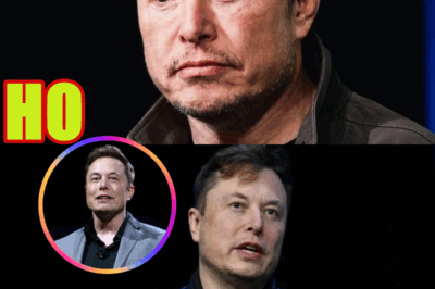 Elon Musk SINKS His Own Company as Catastrophic Tesla Report Unveiled