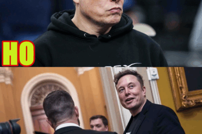 DOGE “flopped”: Rep. Stansbury slams Musk, GOP over ‘complete joke’ of lack of real savings