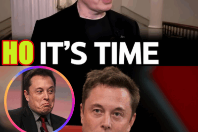The Moment Elon Musk Had Enough