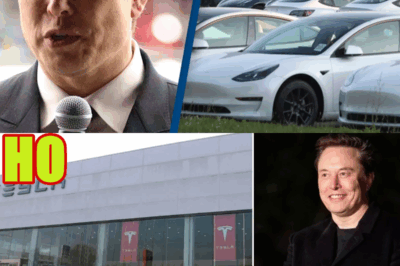 A Staggering Amount of Tesla News