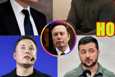 Calling Billionaire Elon Musk, Mr. Zelensky Suddenly Caught in Shocking Scandal — Europe Stunned