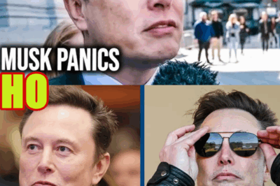 Elon Musk FUMING Over Tesla Report As Analysts Reveal CEO Replacement Reality Check