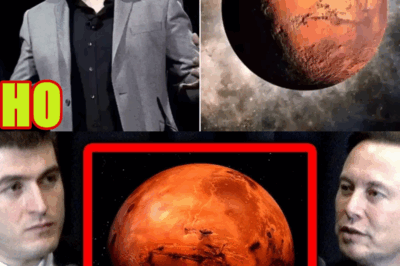 Elon Musk Reveals His ‘Vision’ for Mars