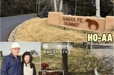 Gene Hackman’s secret burial and unmarked grave where only a cryptic tribute lies… all orchestrated by children he cut from $80m will | HO