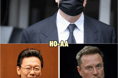 Judge Edward Chen LAUGHS at Elon Musk in the court, What Musk did next shocked everyone! | HO