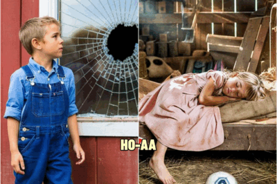 Farm Boy Accidentally Kicked Ball Into Dad’s Barn, What He Found Inside Made His Heart Race! | HO