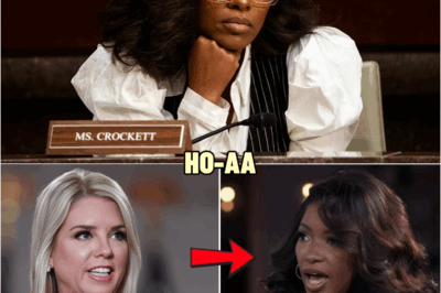 Pam Bondi INSULTS Jasmine Crockett “Go Back to Africa”—But Her Response Shocks All Of America | HO