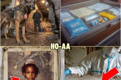 7-Year-Old Vanished Halloween 1988. 26 Years Later, Her Name Was Found Etched Under a Floorboard. | HO