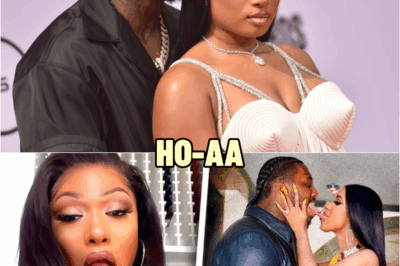 Megan Thee Stallion Exposes Cardi For Cheating On Offset With Pardi| Real Reason For Beef? | HO