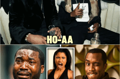 Meek Mill EXPOSES What Diddy Paid Him For… ($100K Per Visit?!) | HO