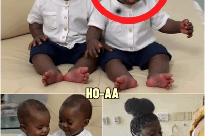 The woman gave birth to two twins, and after 10 days she learned the terrible truth! | HO