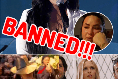 Celebrities Who Got Banned From The 2025 Met Gala And Why | HO