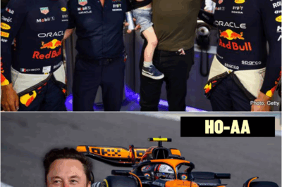 BREAKING NEWS: Elon Musk shocks the F1 world by partnering with Red Bull Racing to create a high-tech supercar for Max Verstappen! Will Musk’s billionaire power give Red Bull an unstoppable advantage this season? | HO