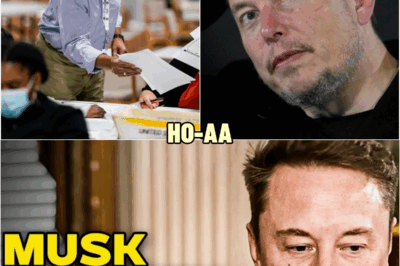 BREAKING NEWS: Elon Musk Hit With MAJOR Class Action Lawsuit For Not Paying Campaign Workers | HO
