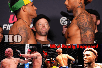 UFC Vegas 106  Purse: How Much Money Did Michael Morales Earn Defeating Gilbert Burns?