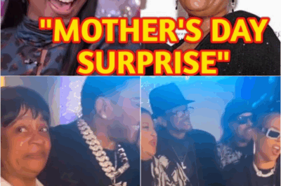 SO LOVELY 🥰: Ashanti’s Mother’s Day Surprise for Nelly’s Mom Will Melt Your Heart! Click and See More 🥰 – s