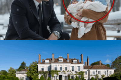 Billionaire Finds a Girl and Three Babies Fainted in a Park, Takes Them to His Mansion – S