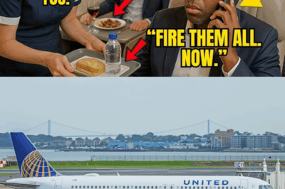 CEO Denied First-Class Meal—Fires Entire Crew Minutes After Landing! – S