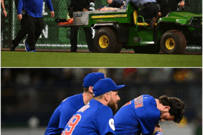 Fan in critical condition after accidental fall onto the field at PNC Park during Pirates-Cubs game, police say – S