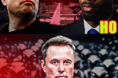 We Went to the Town Elon Musk Is Poisoning