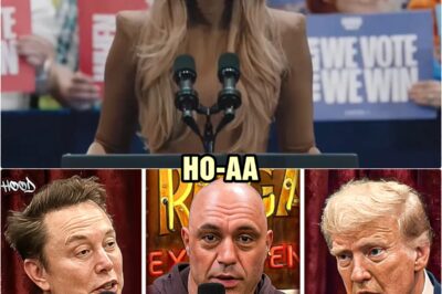 Elon Musk Speaks On Seeing Diddy Tapes | Joe Rogan & Donald Trump LIVE REACTION | HO