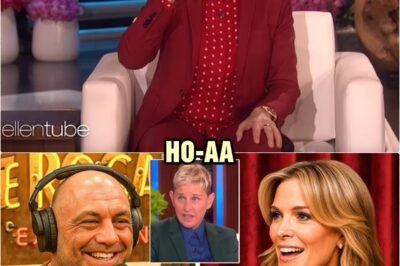 Joe Rogan & Megyn Kelly EXPOSE Ellen DeGeneres DARK SECRETS On LIVE TV | HO