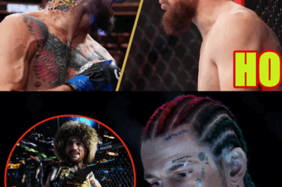 DC on the Differences Sean O’Malley Has Made for Rematch vs. Dvalishvili at UFC 318