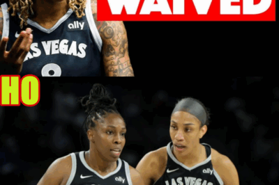 The Aces WAIVE Player To FREE Cap Space For HUGE Free Agents…