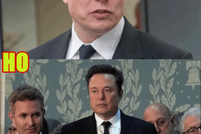 Elon Musk Gets What He DESERVES in Court