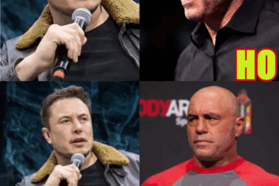 Joe Rogan Slowly Realizes Elon Musk SCREWED US ALL